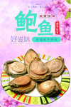 鲍鱼