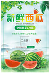 新鲜西瓜 海报 展架