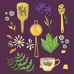茶具 素材