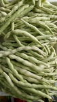 绿色豆角果实