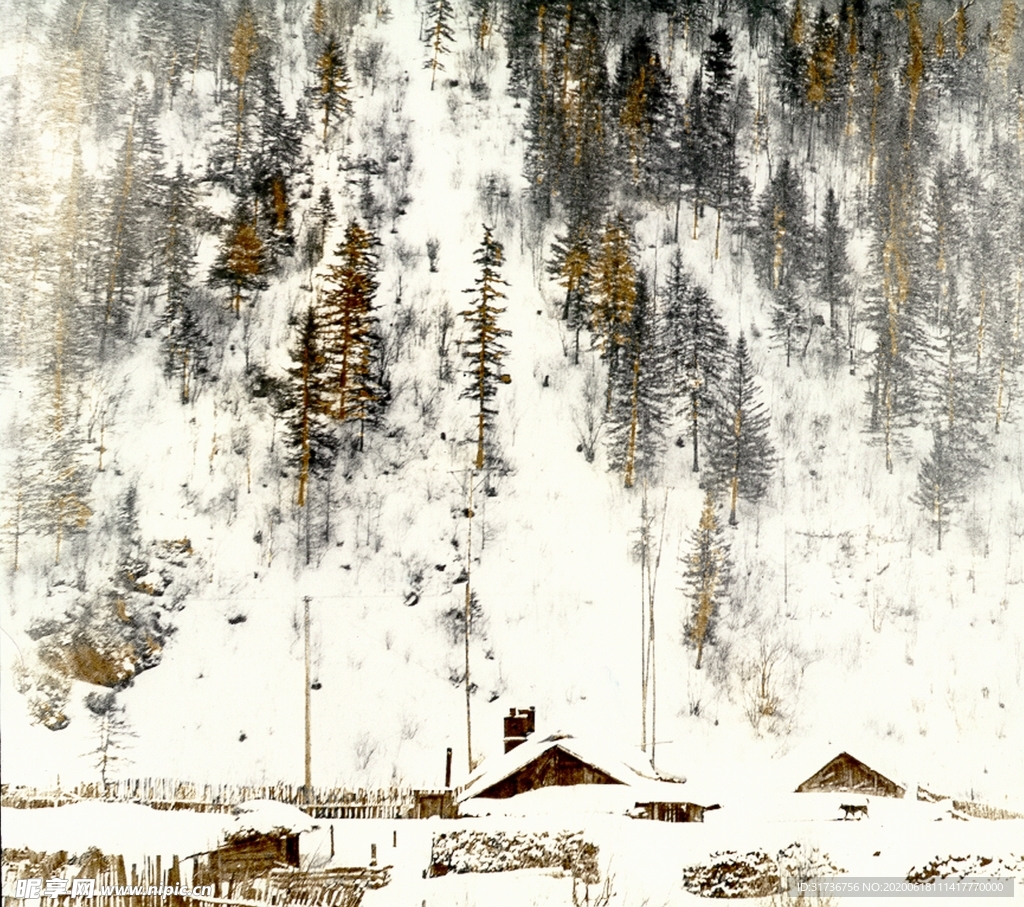 雪景