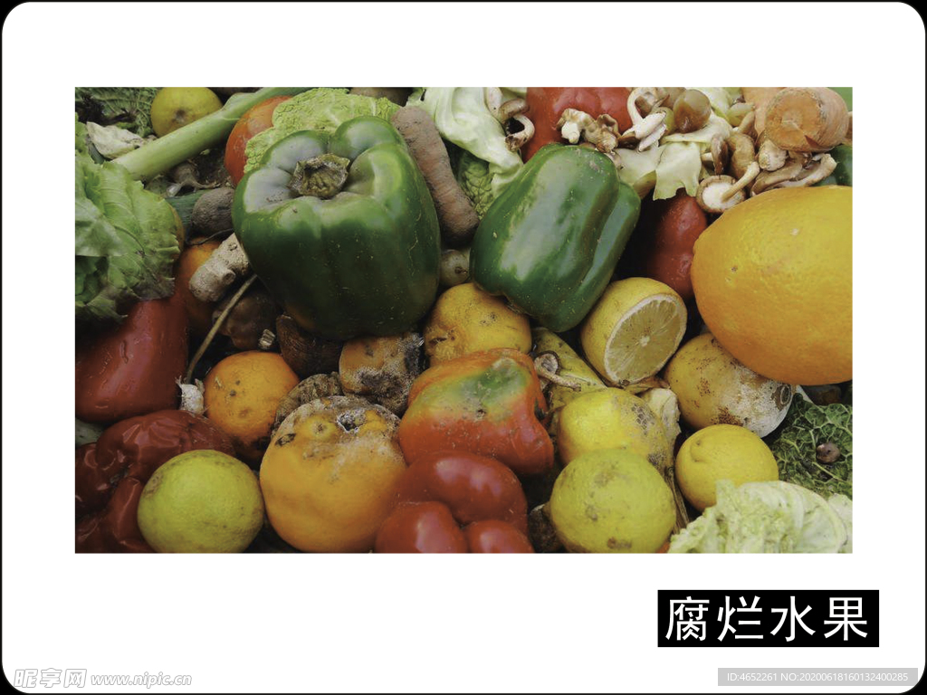 餐余垃圾