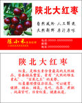 大红枣名片