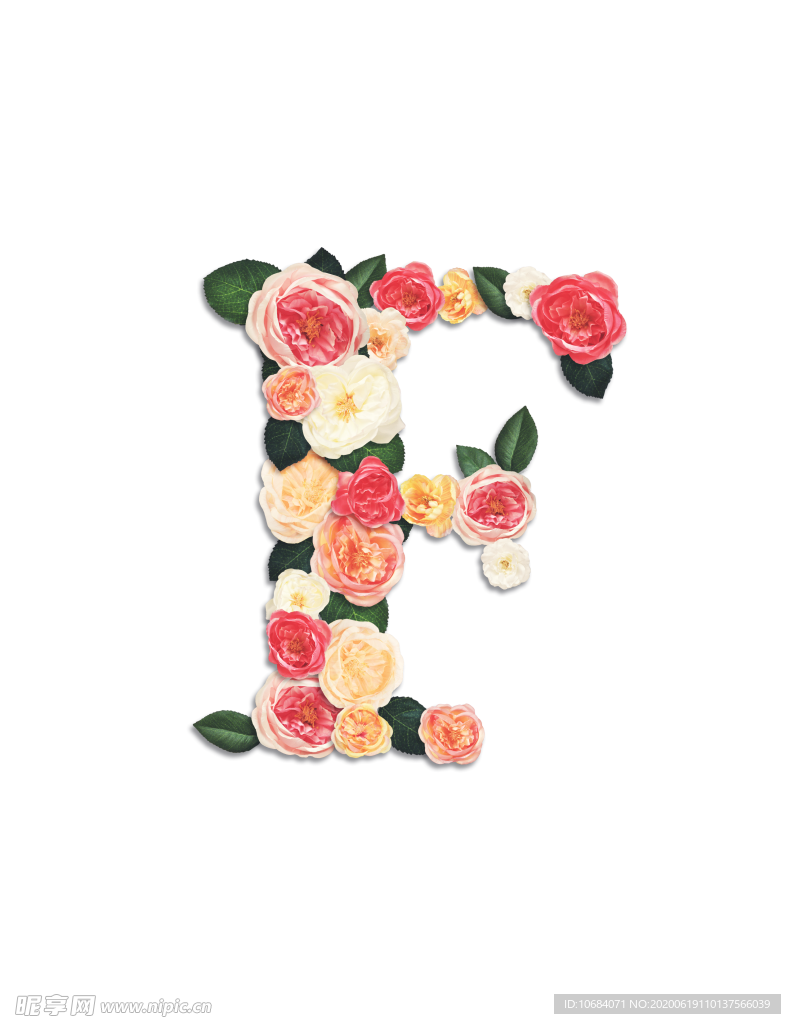 花卉植物英文字母元素