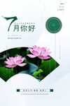 你好7月