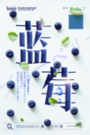 蓝莓