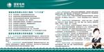 电网双十条