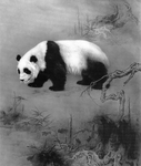 黑白工笔画