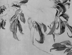 黑白工笔画