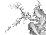 黑白工笔画