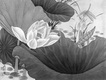 黑白工笔画