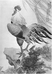 黑白工笔画