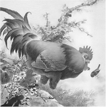 黑白工笔画