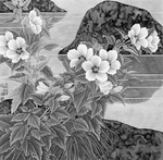 黑白工笔画