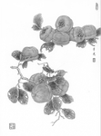 黑白工笔画