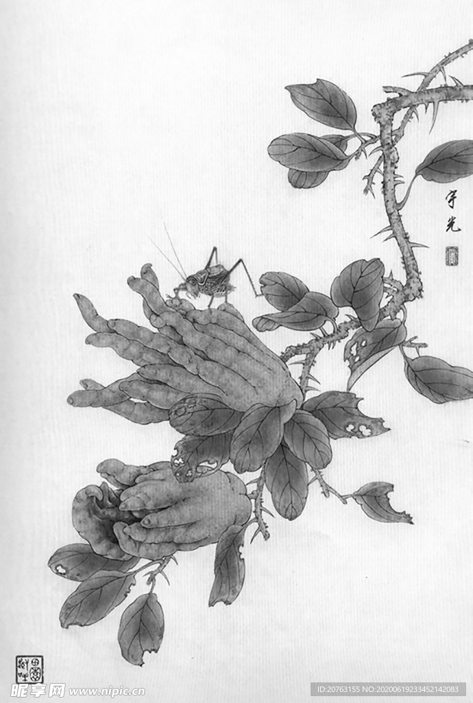 黑白工笔画