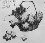 黑白工笔画