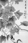 黑白工笔画