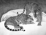 黑笔工笔画