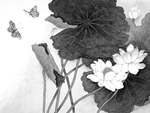 黑白工笔画