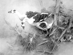 黑白工笔画