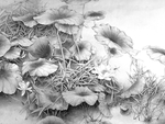 黑白工笔画