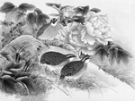 黑白工笔画