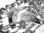 黑白工笔画