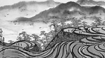 黑白工笔画