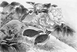 黑白工笔画