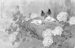 黑白工笔画