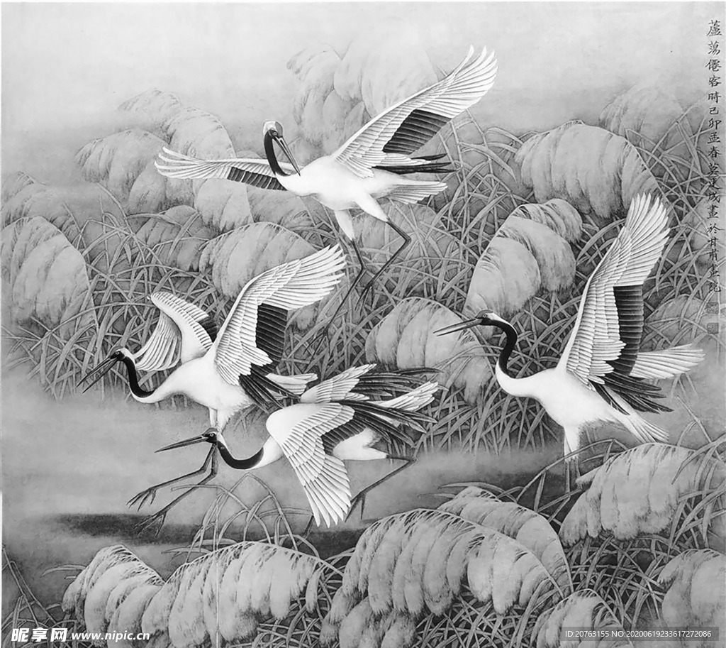 黑白工笔画