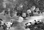 黑白工笔画