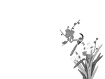 黑白工笔画