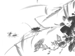 黑白工笔画