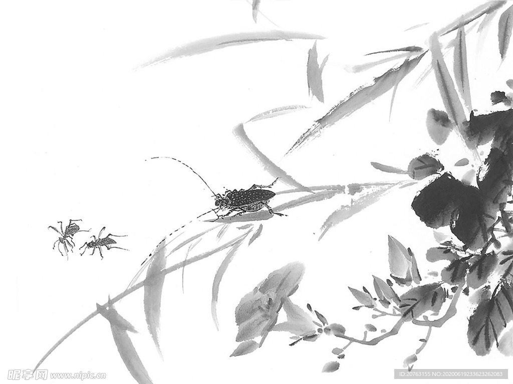 黑白工笔画
