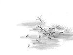 黑白工笔画