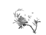 黑白工笔画