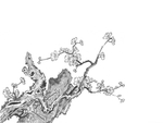 黑白工笔画