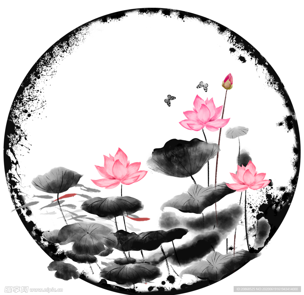 荷花