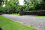 公园 草地 道路花卉 花境造型