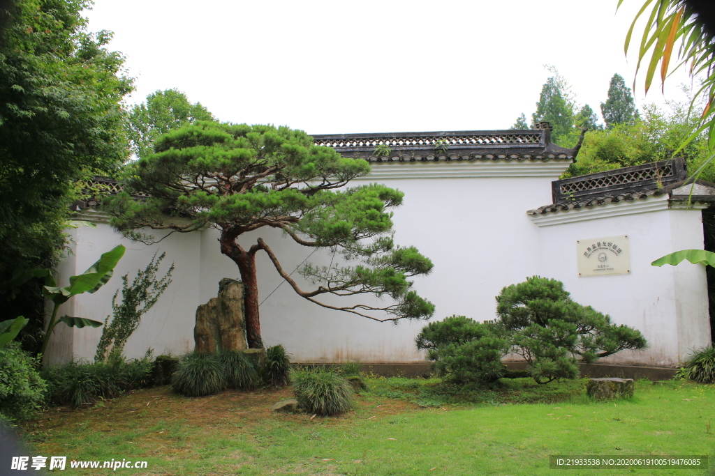 松园月亮门 中式庭院景观 中式