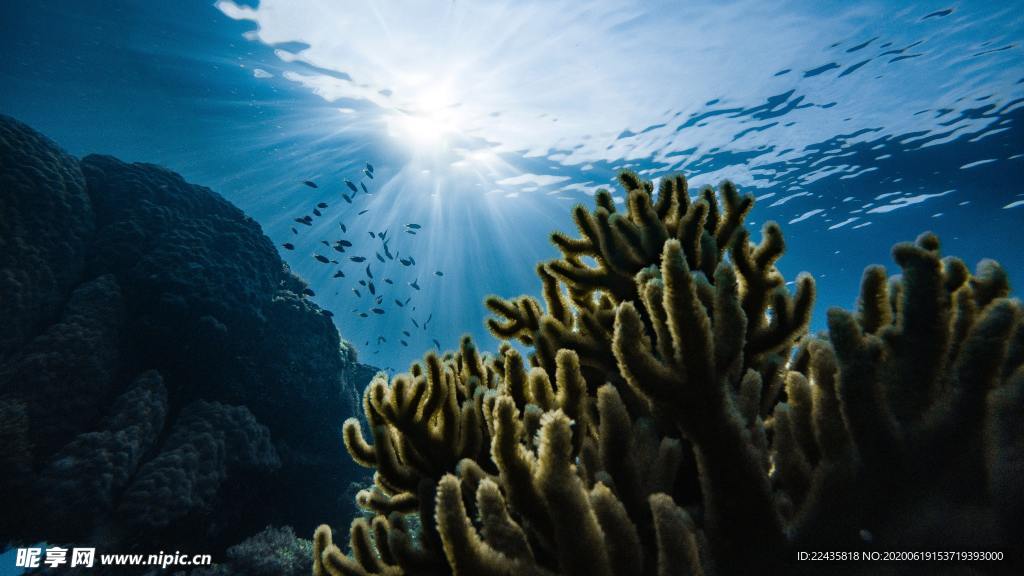 阳光穿透海水 海底 珊瑚