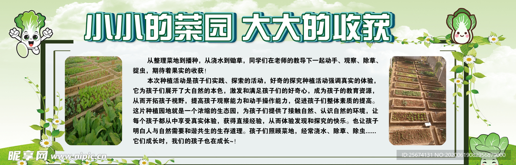 菜园大大的收获