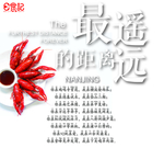 龙虾海报