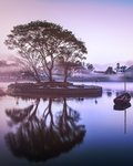 风景