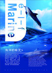 海豚海报