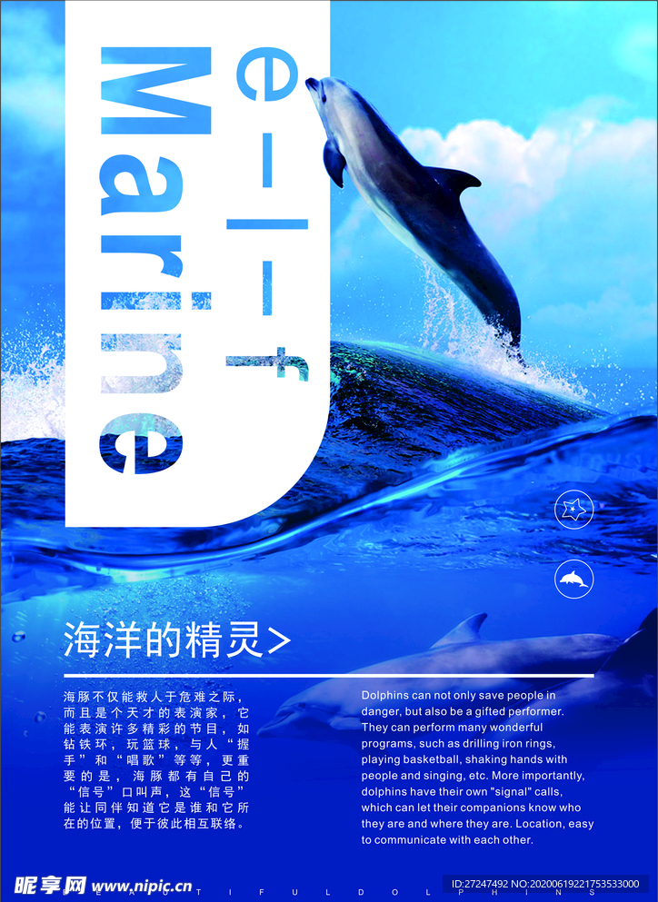 海豚海报