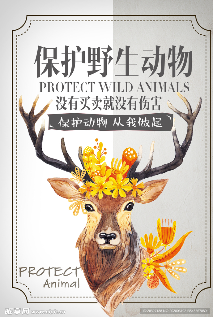 保护野生动物