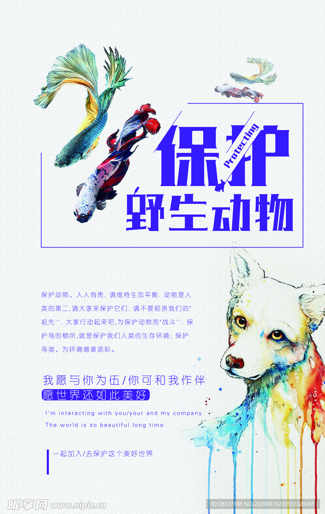 保护野生动物